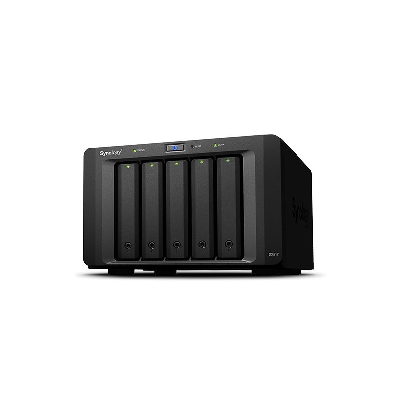 Synology DX513