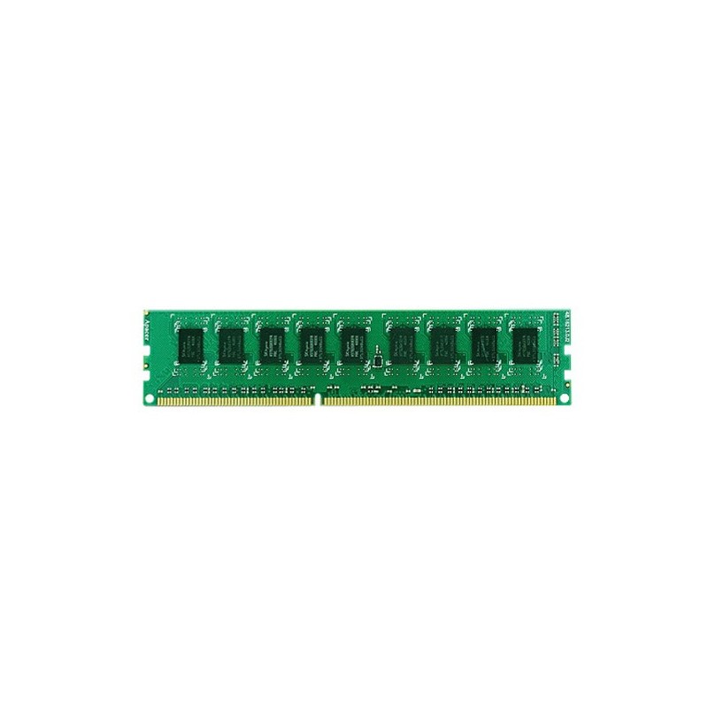 Synology 2GB ECC RAM Module