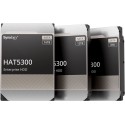Synology HAT5300- 8T
