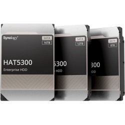 Synology HAT5300- 8T