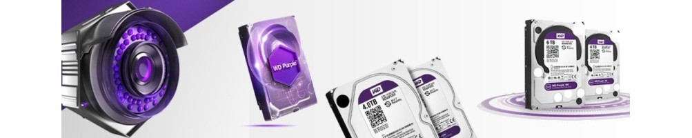 WESTERN DIGITAL Hard Disk - Rivenditori certificati Reggio Emilia