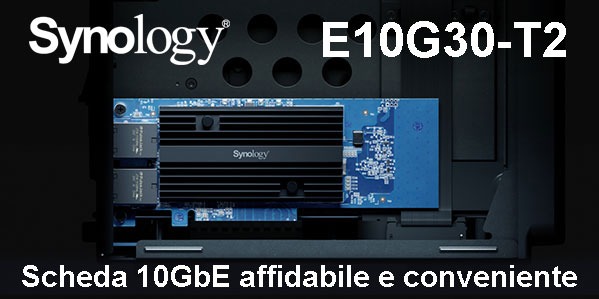 SYNOLOGY E10G30-T2 